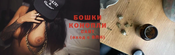 стаф Сатка