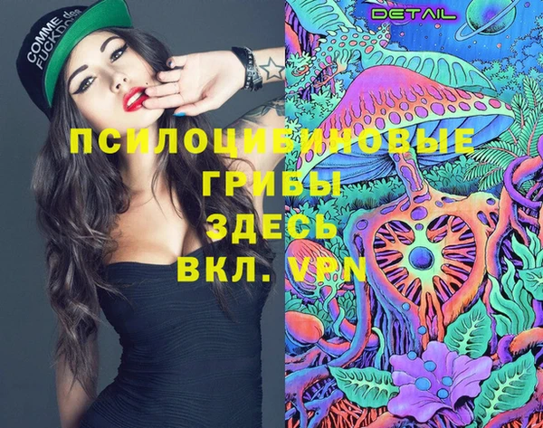 не бодяженный Горно-Алтайск