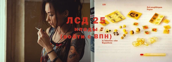 амф Дмитриев