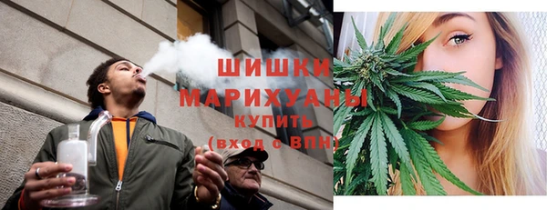 амф Дмитриев