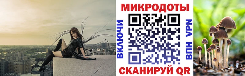 Псилоцибиновые грибы мицелий  закладка  Давлеканово 